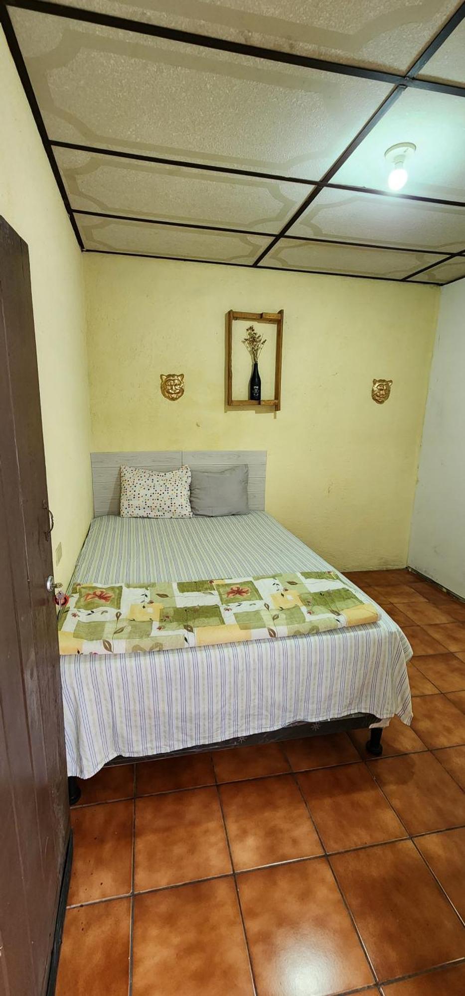 Jaguar Basic Accommodation Antigua Buitenkant foto